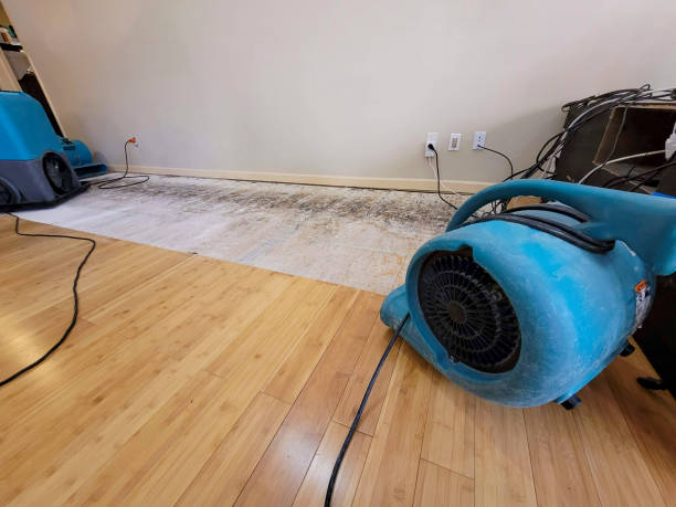 Professional Water Damage Repair technician working in Camp Meeker, CA